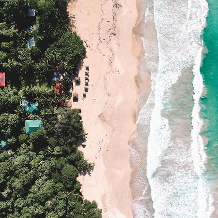 Palmar Beach Lodge Bocas Town Bagian luar foto