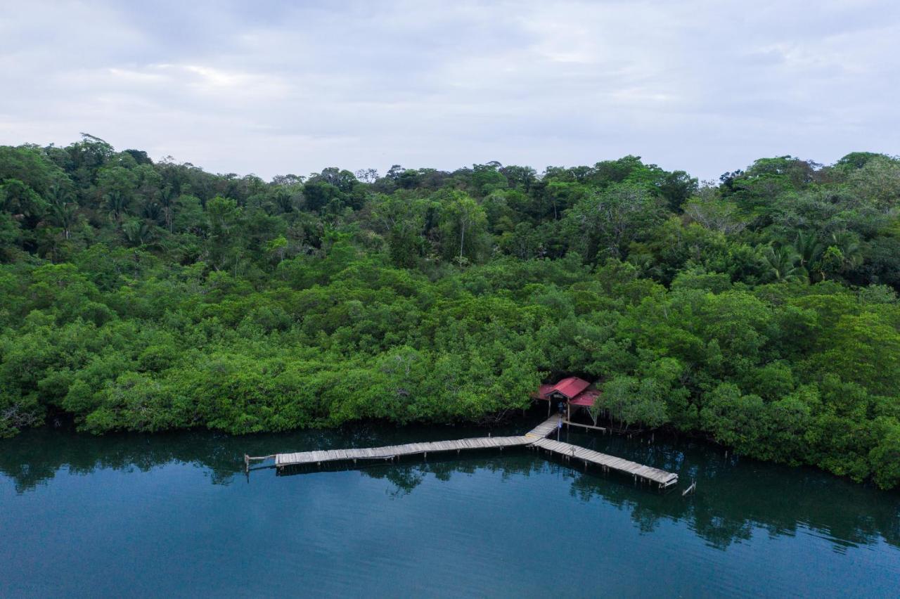 Palmar Beach Lodge Bocas Town Bagian luar foto