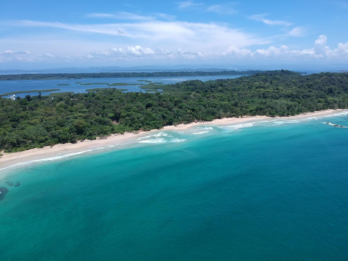 Palmar Beach Lodge Bocas Town Bagian luar foto