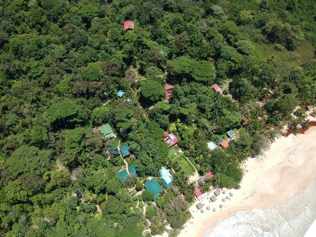 Palmar Beach Lodge Bocas Town Bagian luar foto